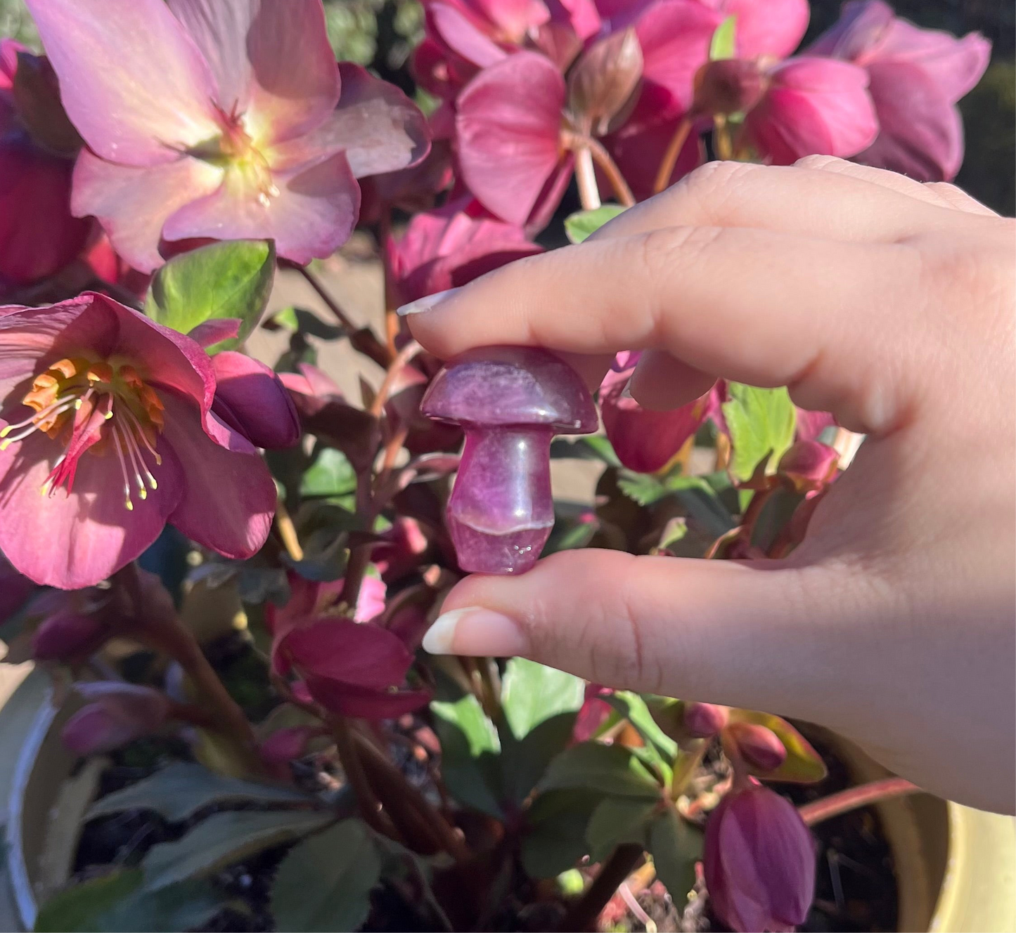 Magenta Fluorite Crystal Mushroom Carvings