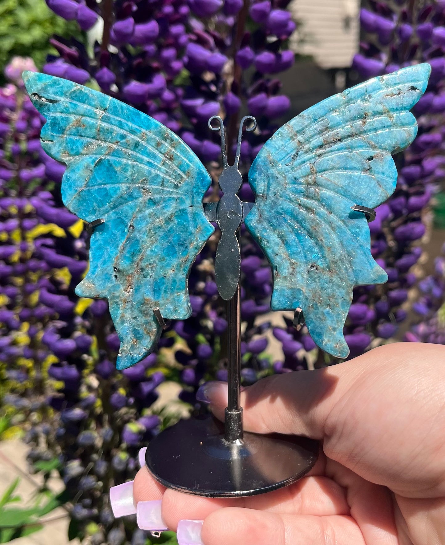 Blue Apatite Butterfly Wings with Stand