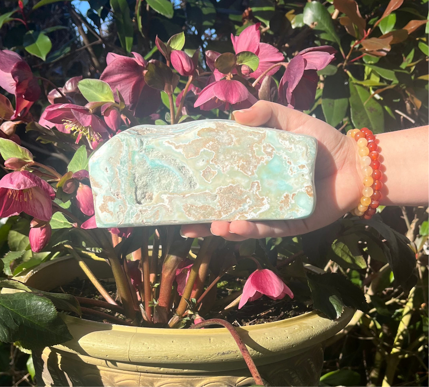 Caribbean Calcite Freeform