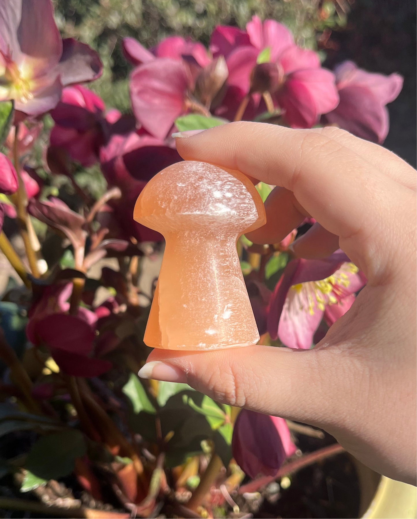 Peach Selenite (Satin Spar) Crystal Mushroom Carvings
