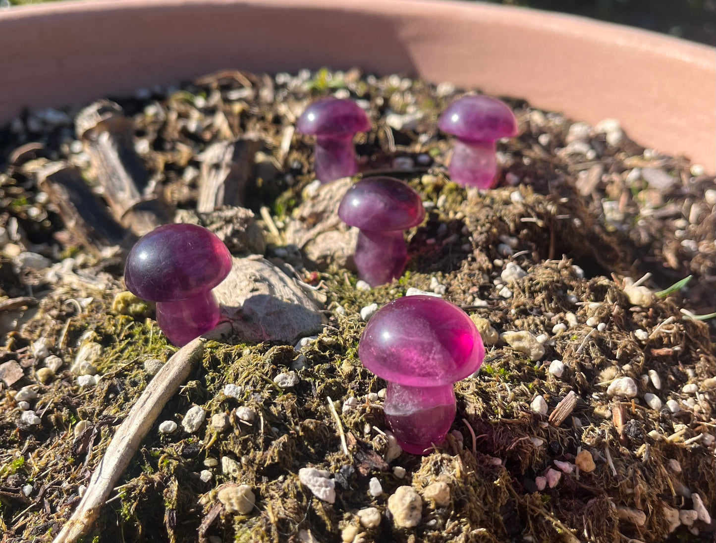 Magenta Fluorite Crystal Mushroom Carvings