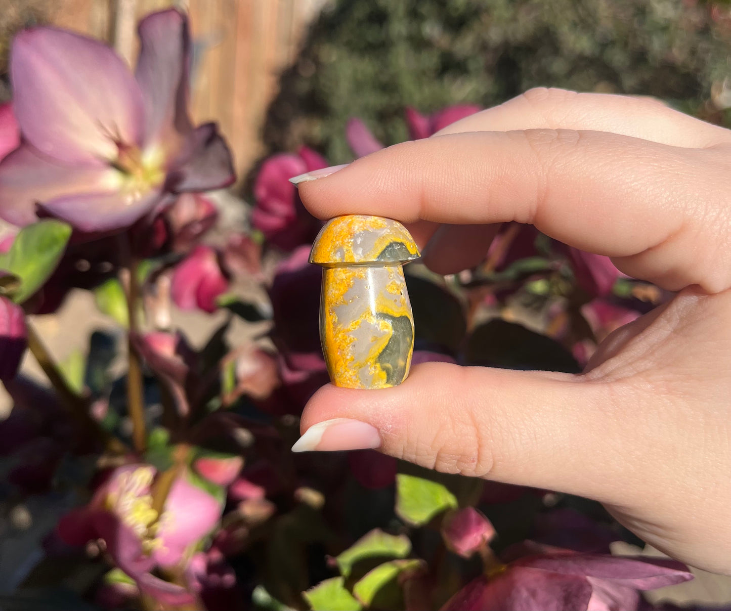 Bumblebee Jasper Crystal Mushrooms
