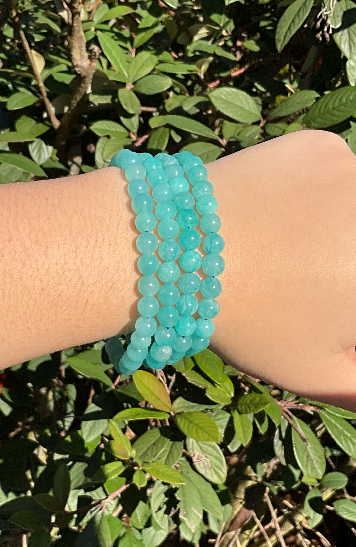 Amazonite Bracelet