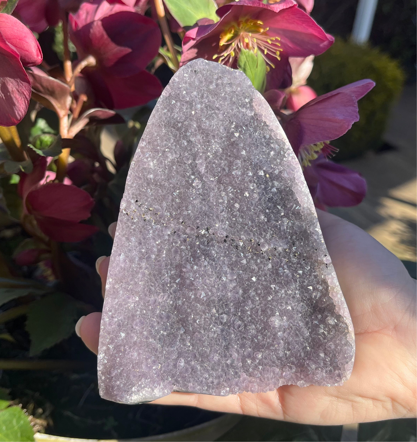 Amethyst Clusters