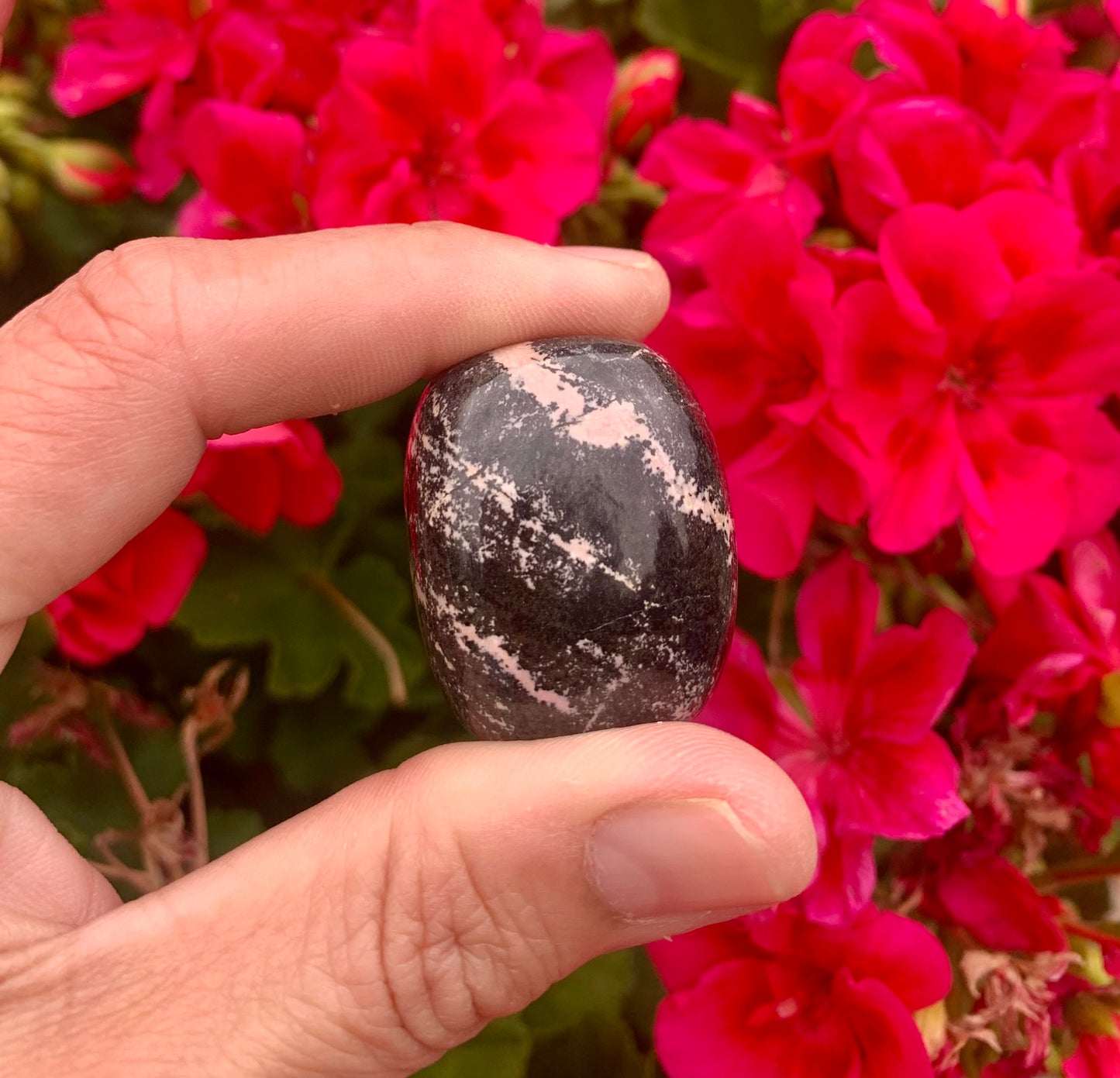 Rhodonite Tumbled Crystals