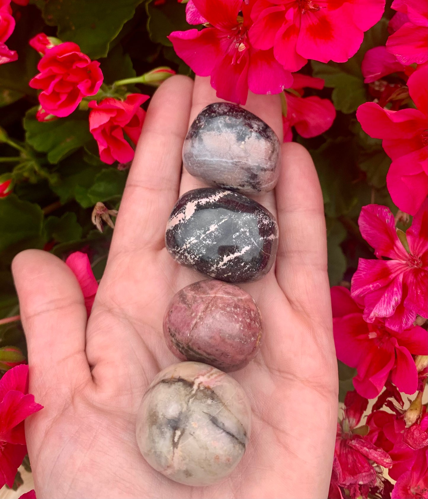 Rhodonite Tumbled Crystals