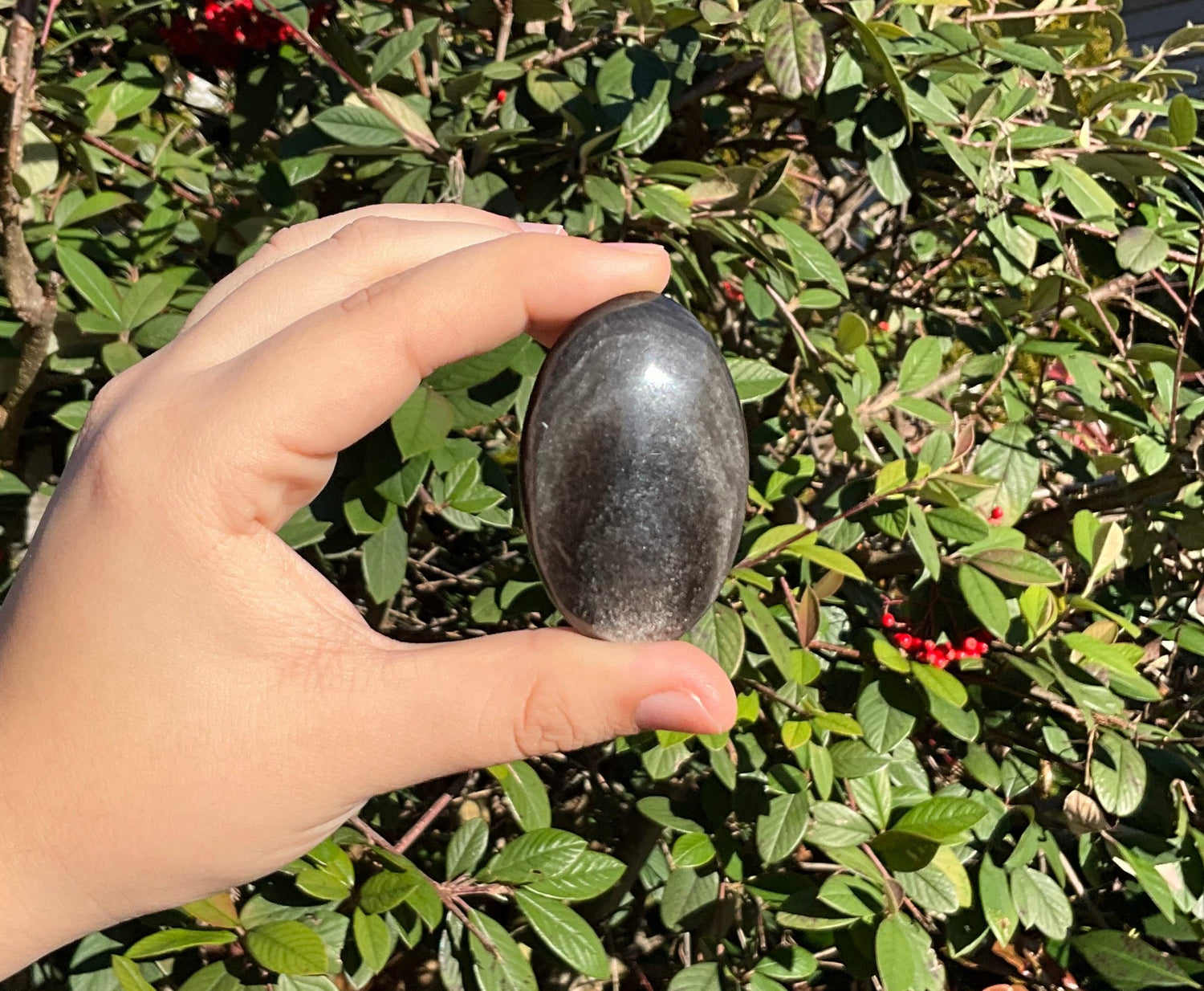 Palm Stones