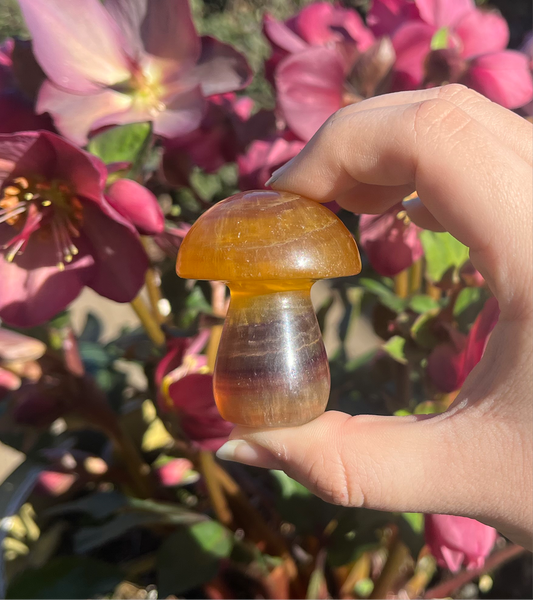 Yellow Fluorite Mushroom Carvings