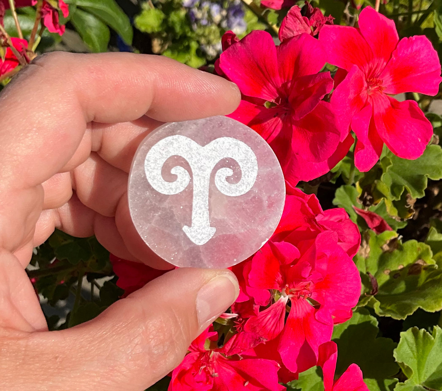 Selenite Zodiac Discs