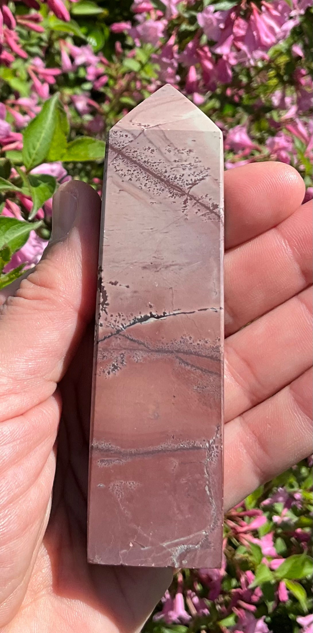 Picture Jasper Towers