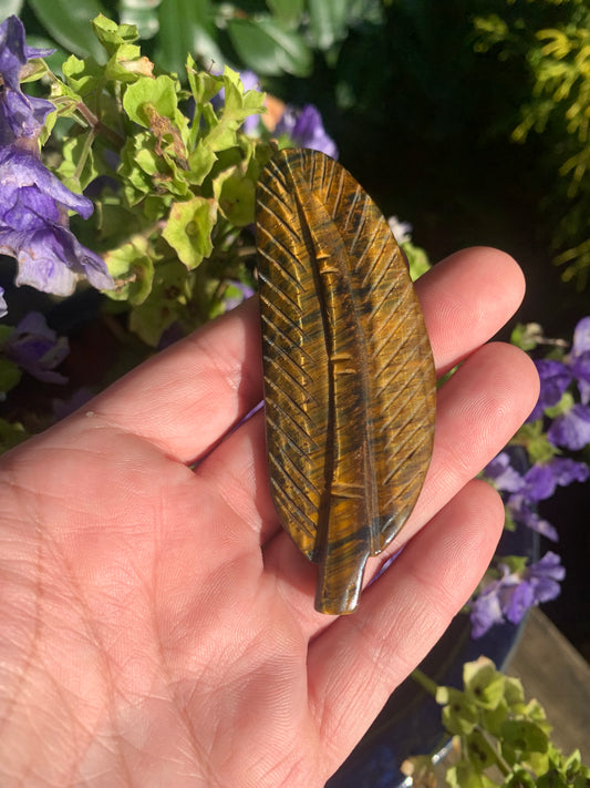 Tiger’s Eye Feather Carving