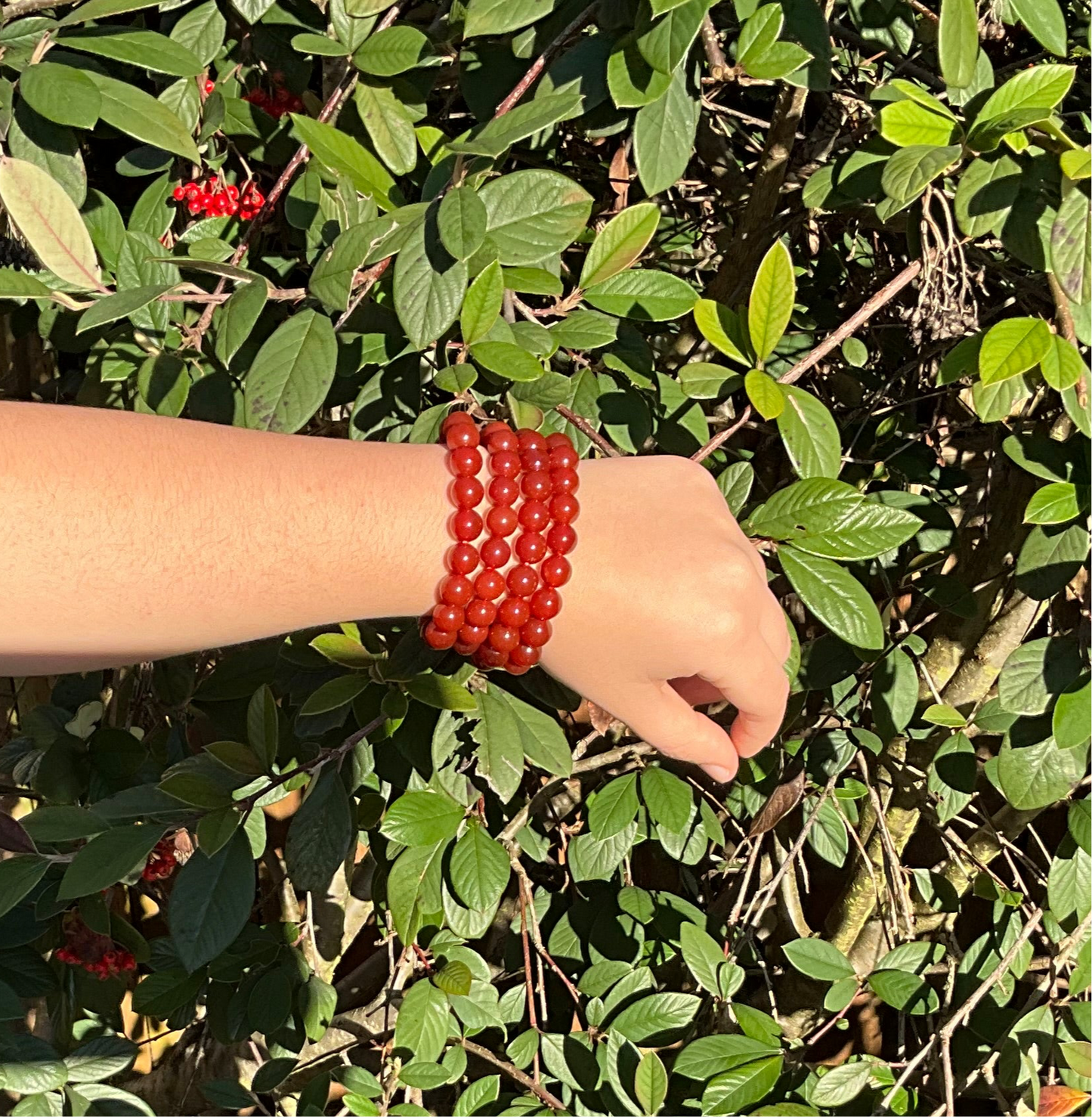 Carnelian Bracelet