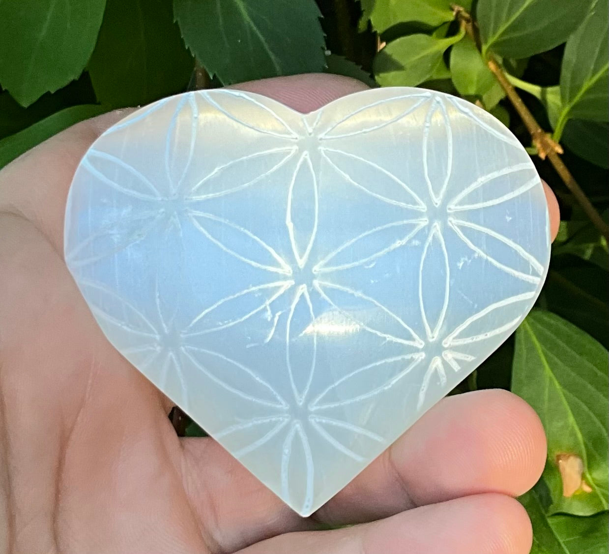 Selenite Heart with Etched Flower Of Life