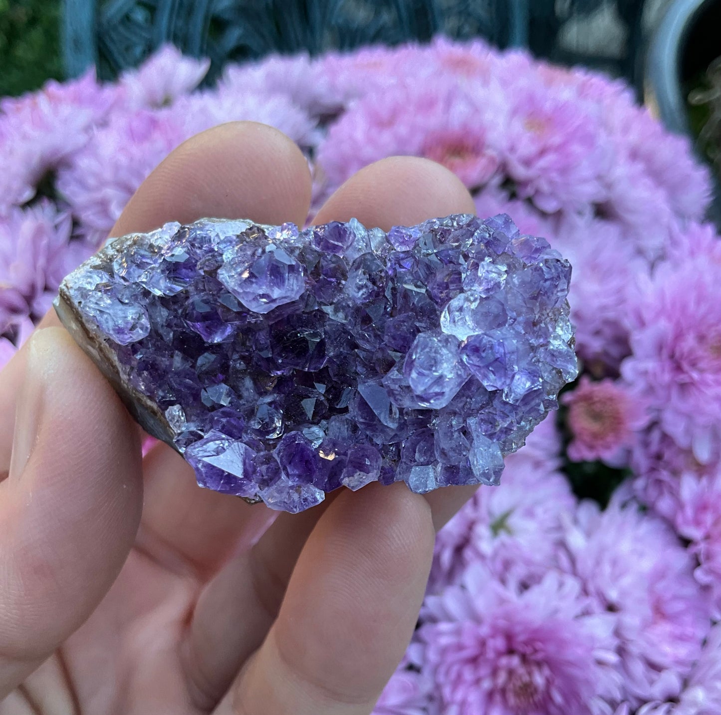 Amethyst Clusters