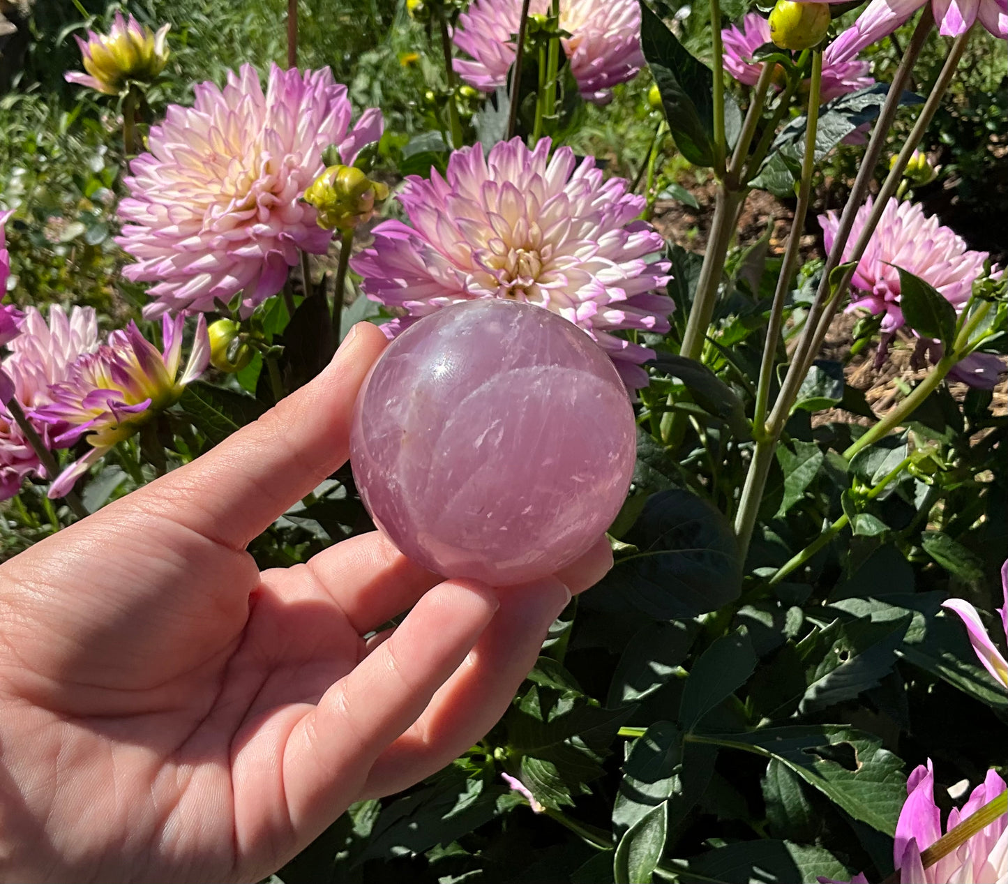 Lavender Rose Quartz Spheres