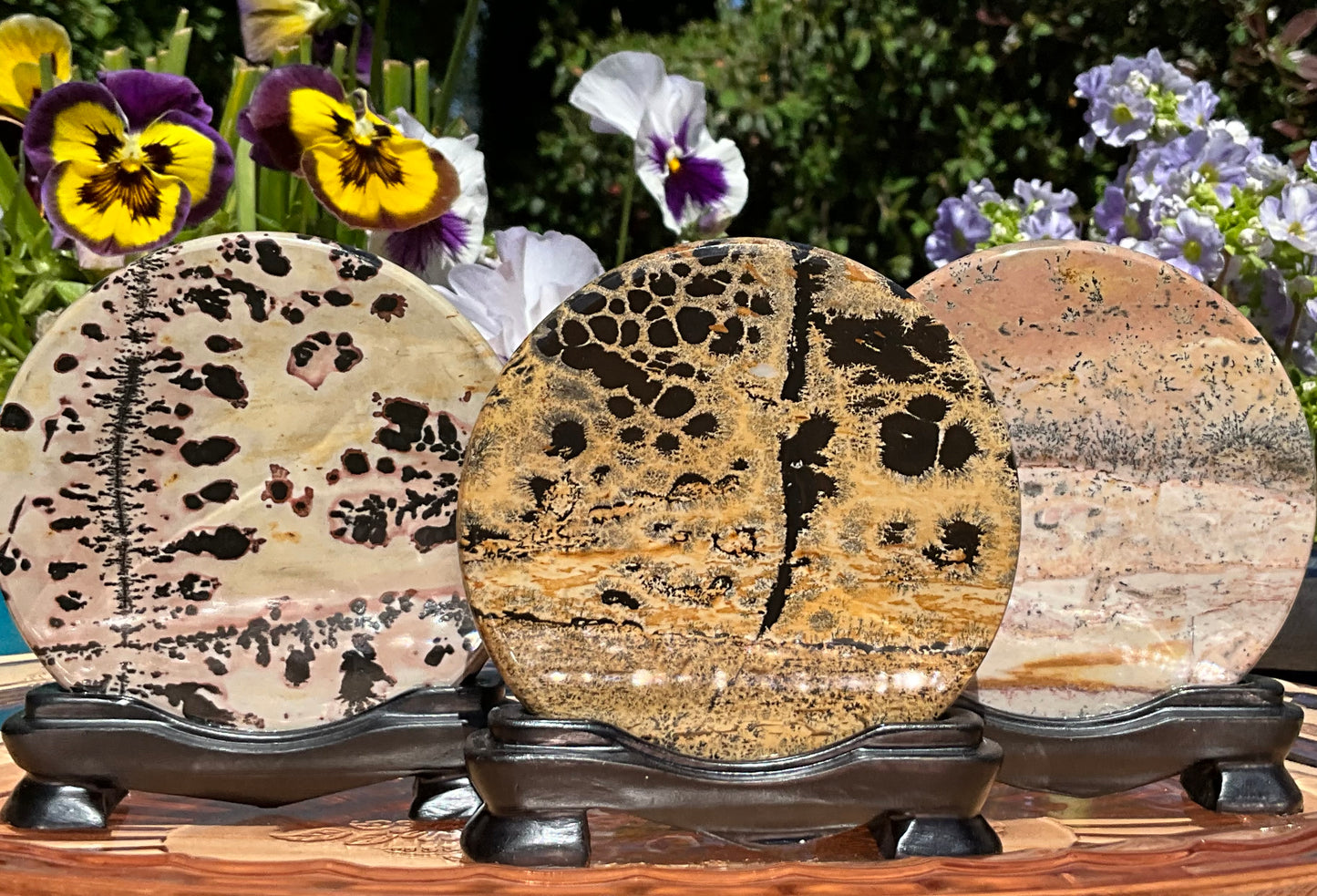 Picture Jasper Round Slabs (on wooden stands)