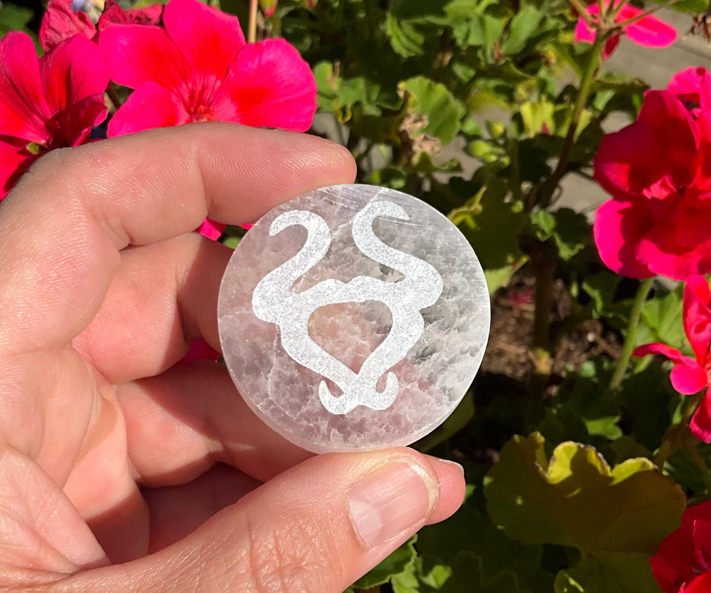 Selenite Zodiac Discs