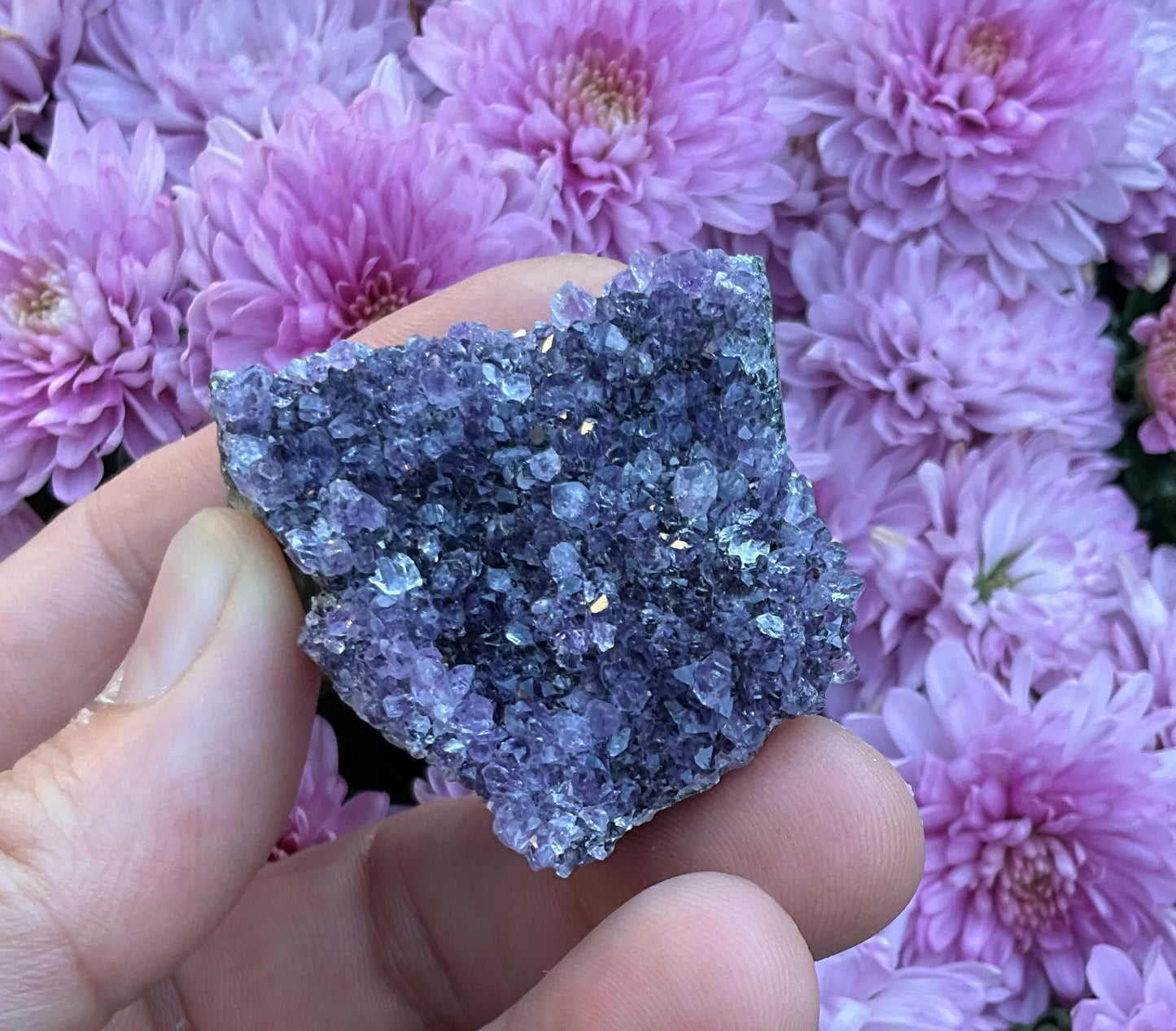 Amethyst Clusters