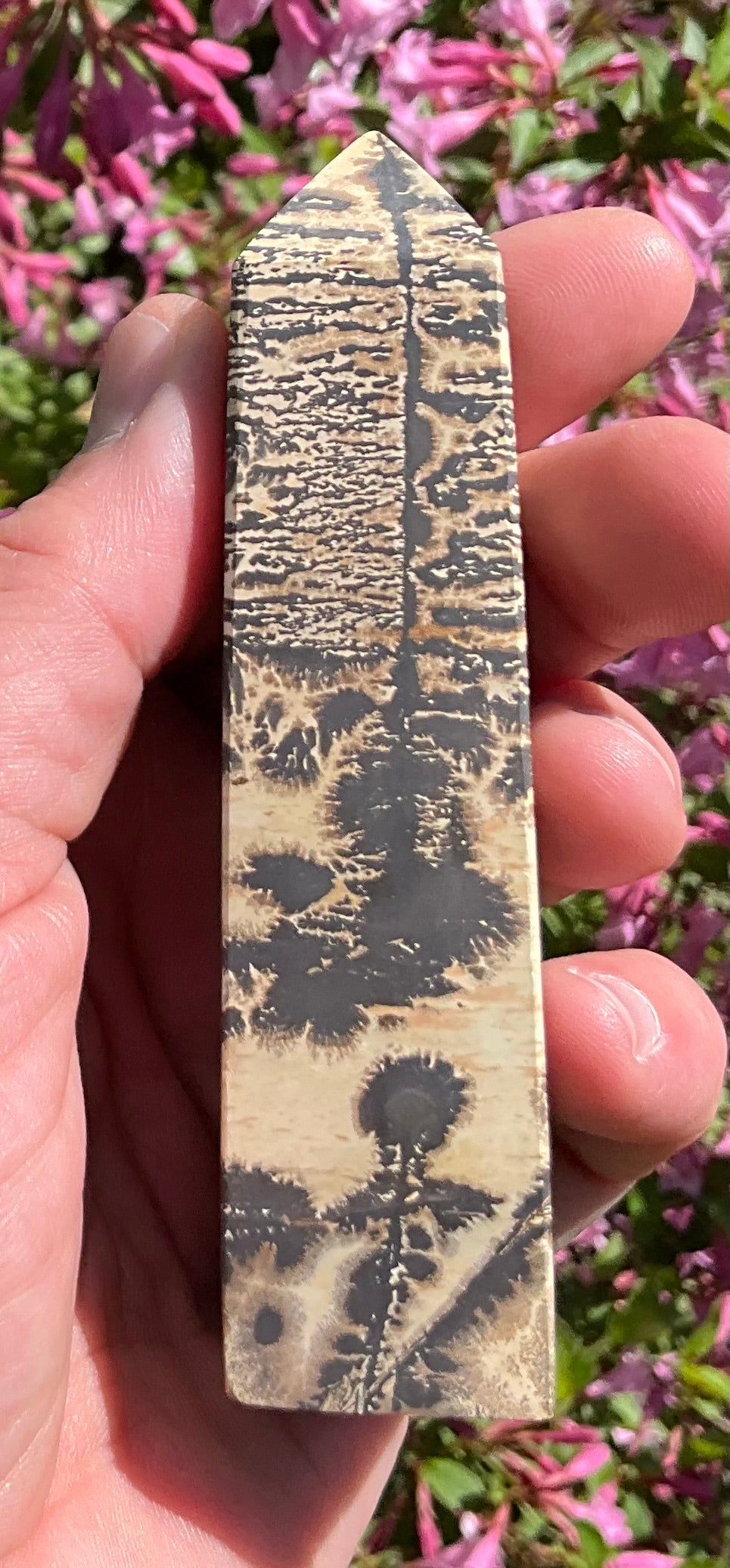 Picture Jasper Towers