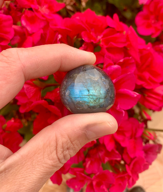 Labradorite Tumbled Crystals