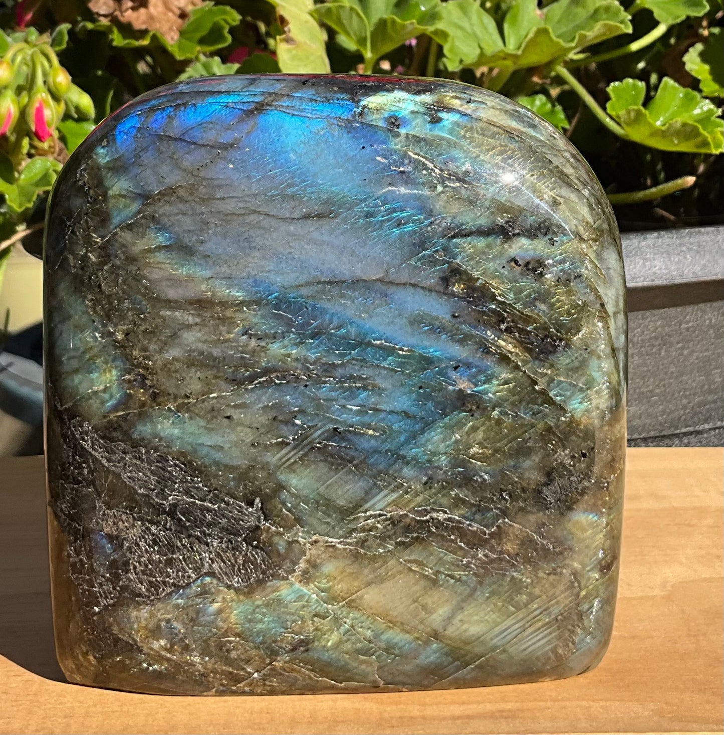 Labradorite Freeform’s