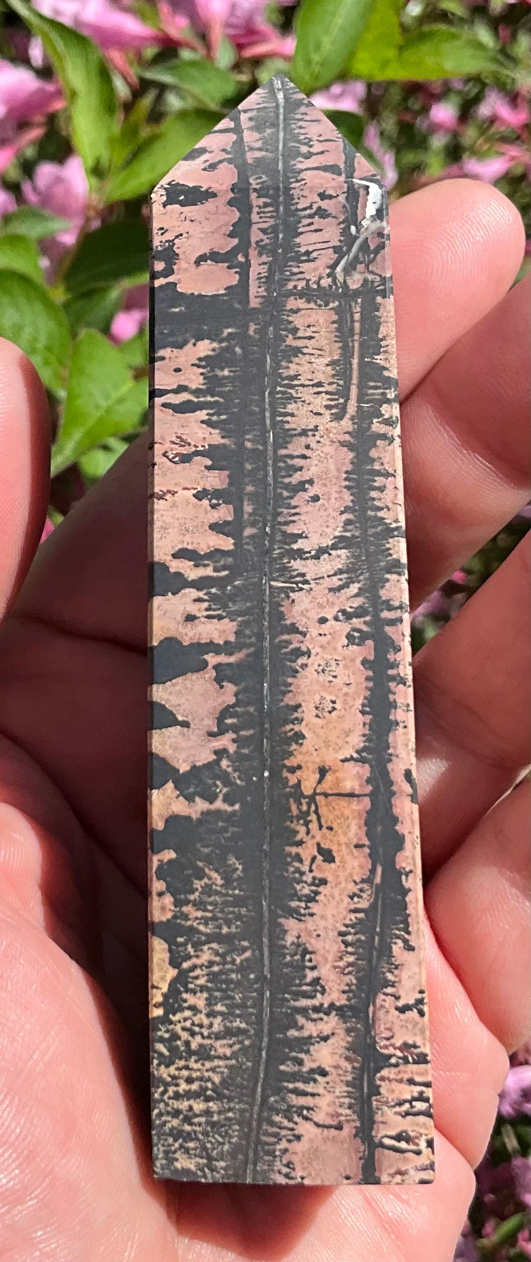 Picture Jasper Towers