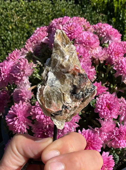 Golden Mica-Covered Black and Pink Tourmaline Specimen on Stand