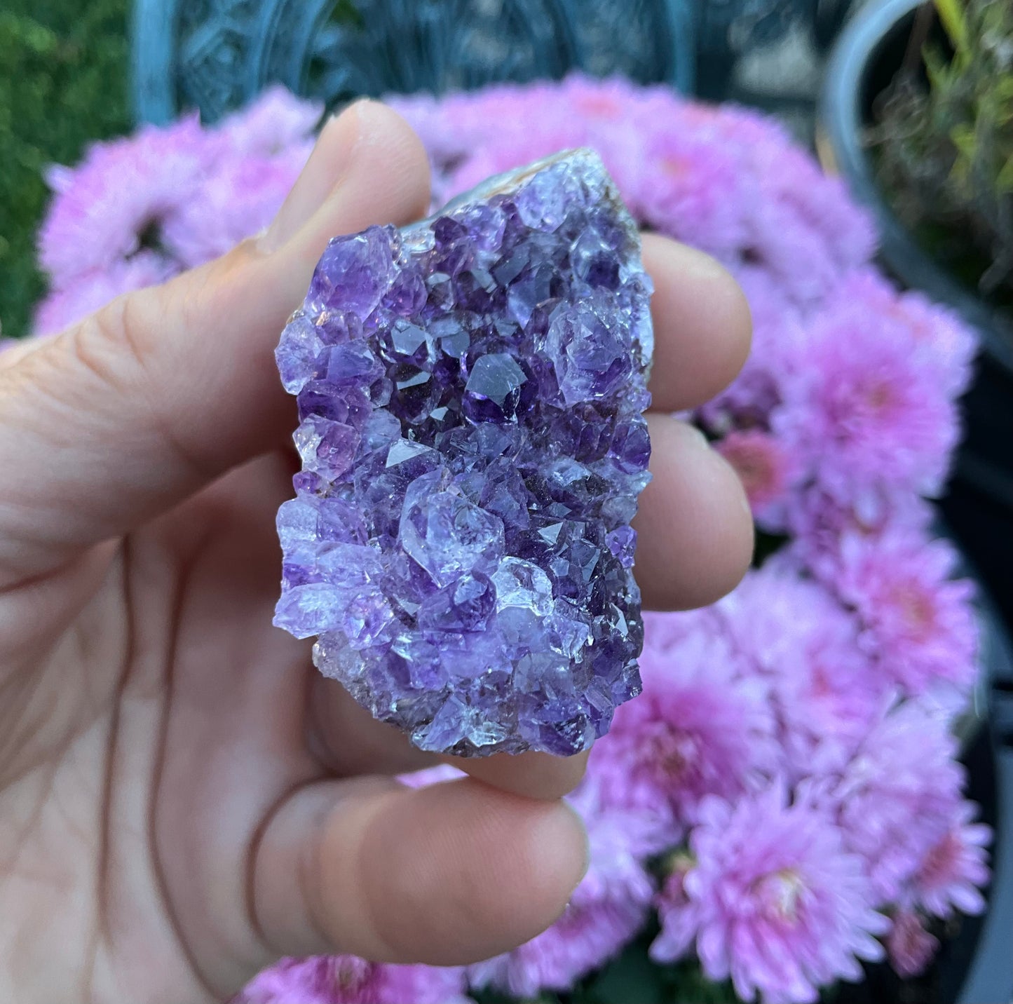 Amethyst Clusters