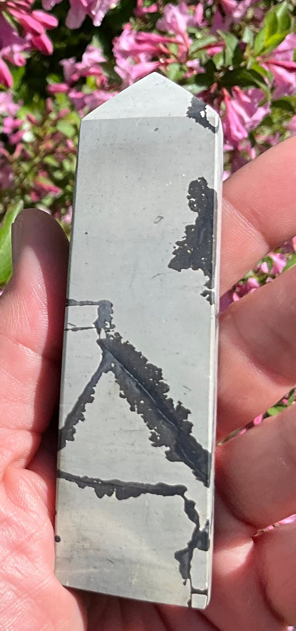 Picture Jasper Towers