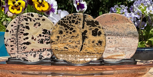 Picture Jasper Round Slabs (on wooden stands)