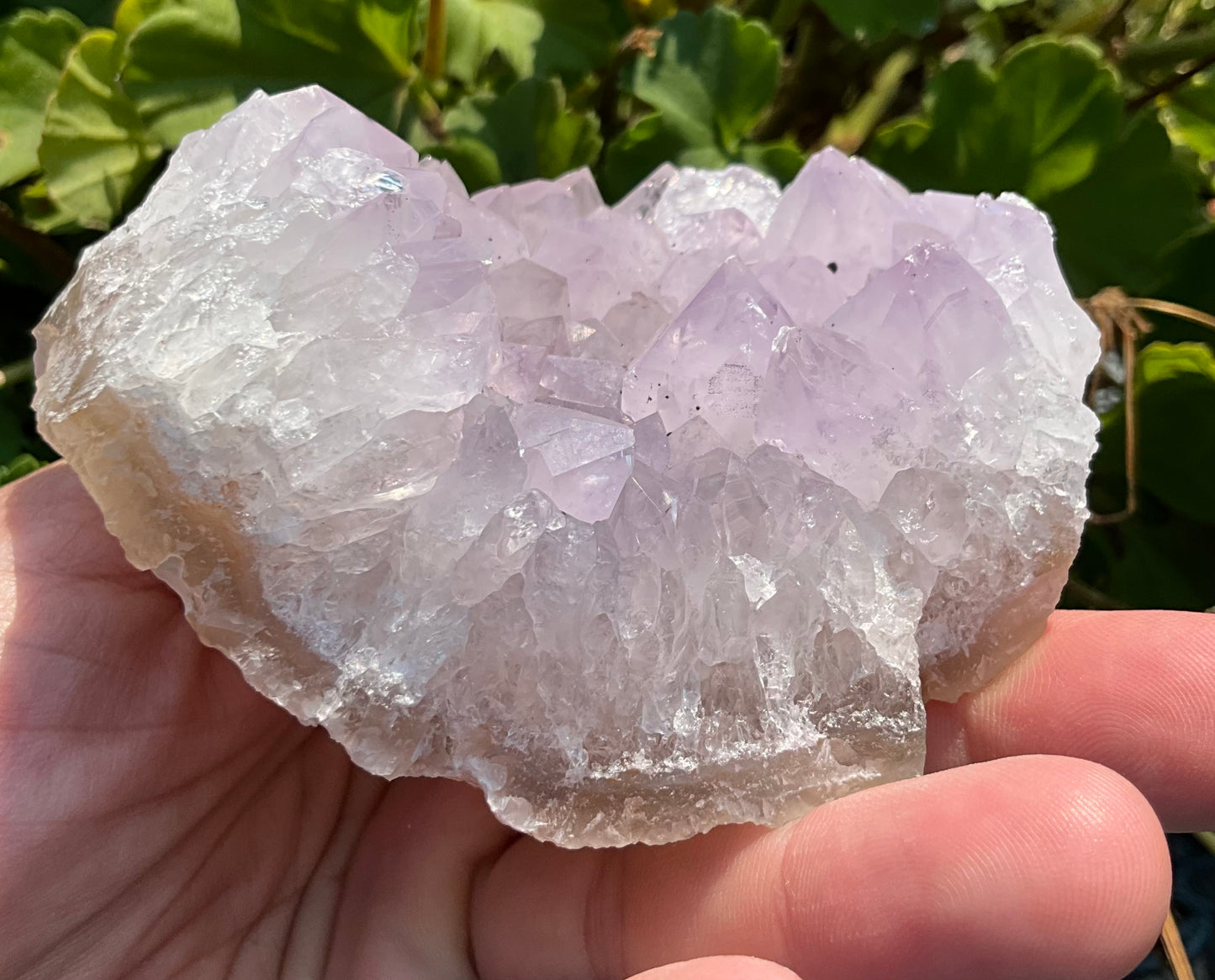 Icy Amethyst Cluster