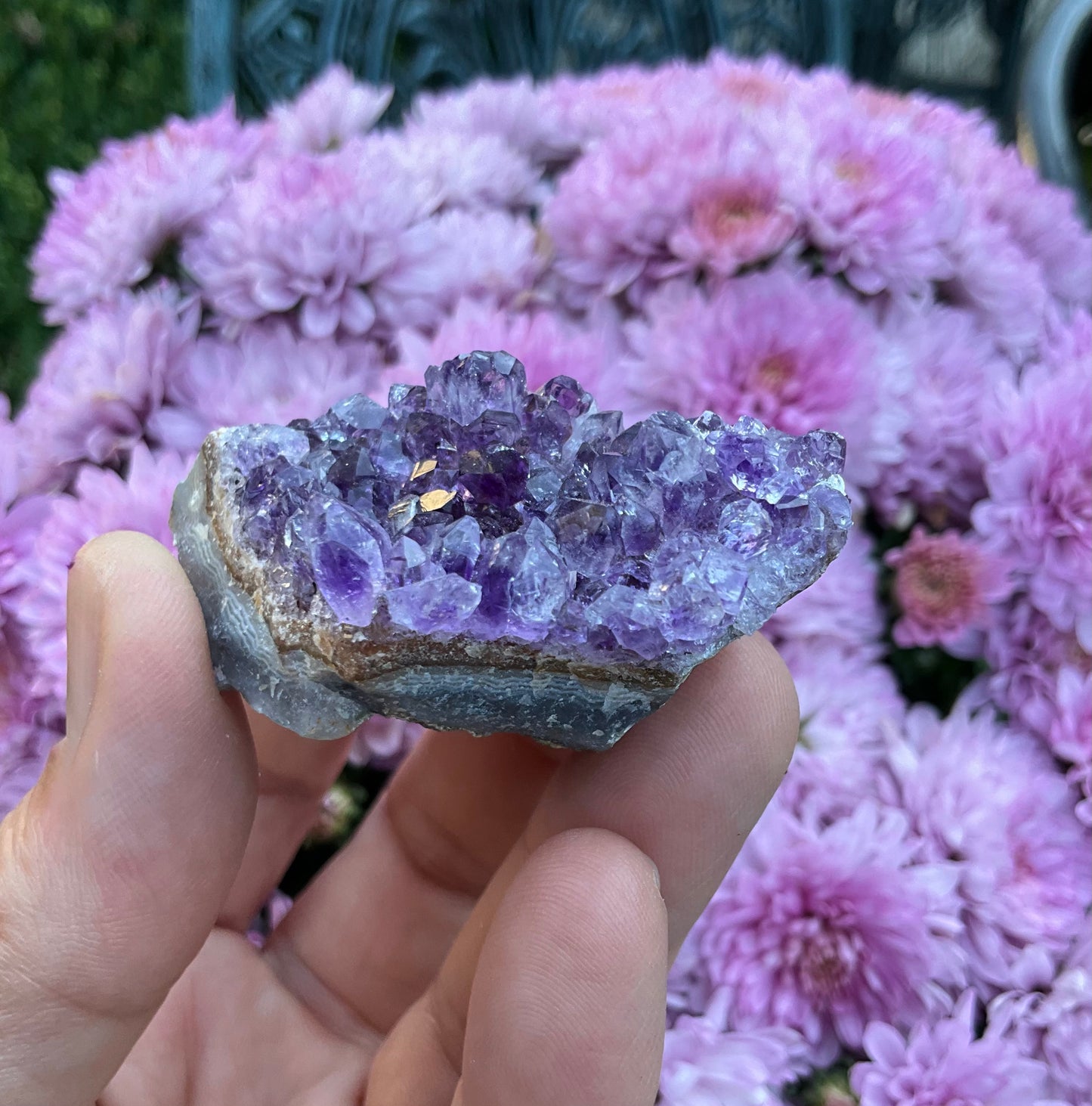Amethyst Clusters