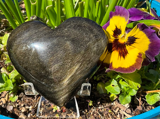 Golden Sheen Obsidian Heart Carvings - 3 Sizes