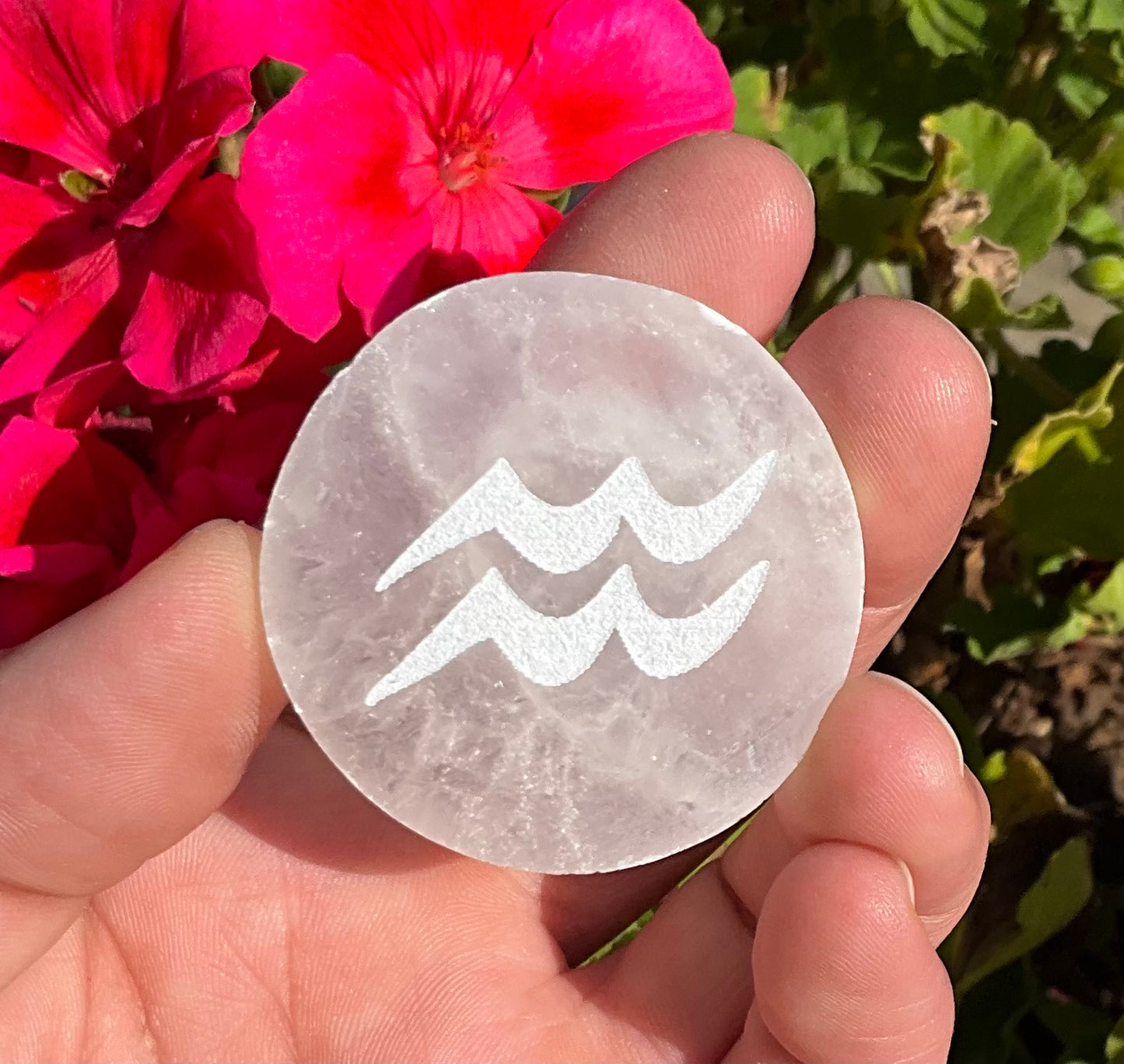 Selenite Zodiac Discs