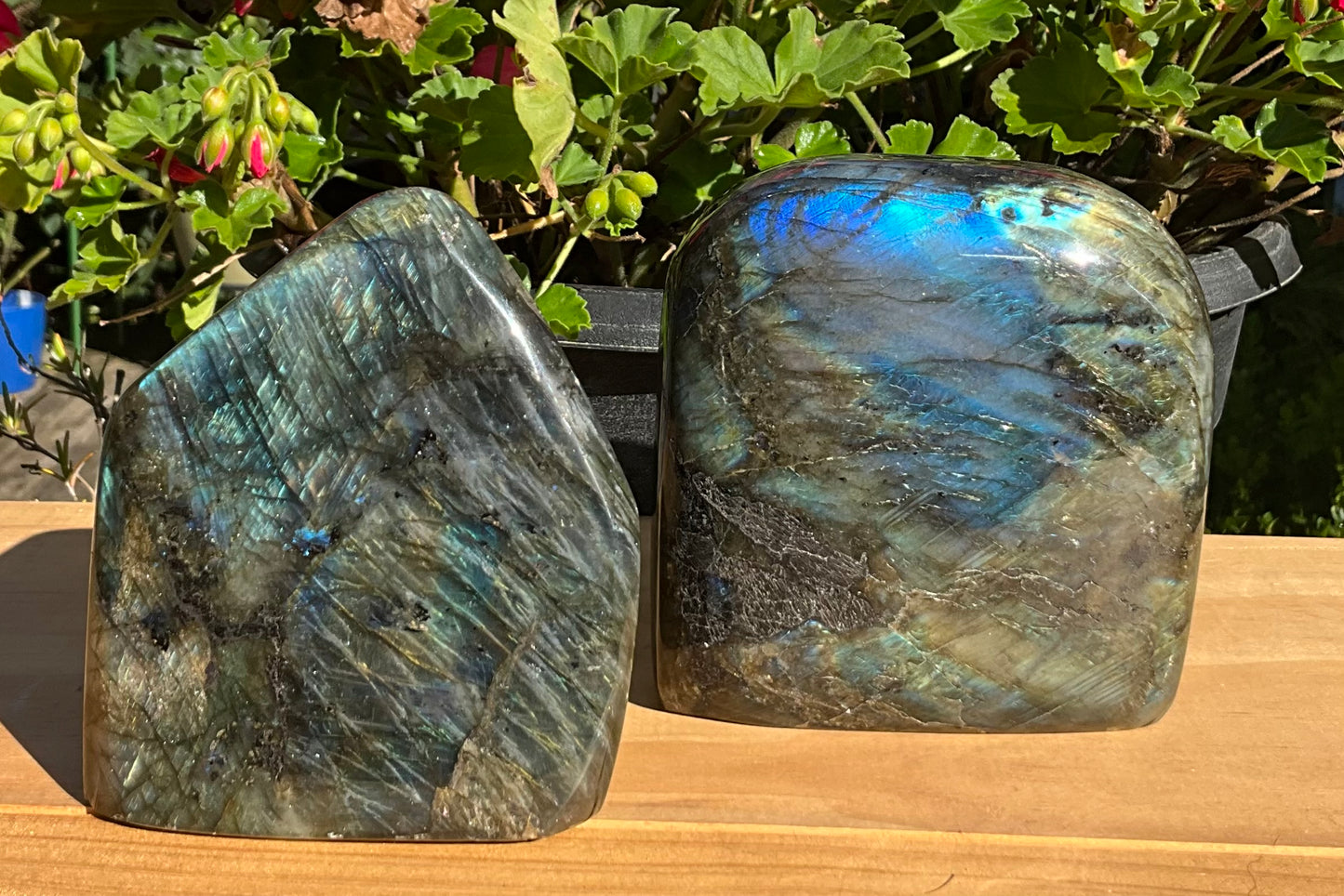 Labradorite Freeform’s