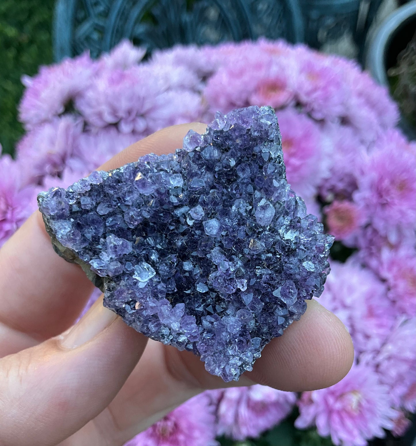 Amethyst Clusters