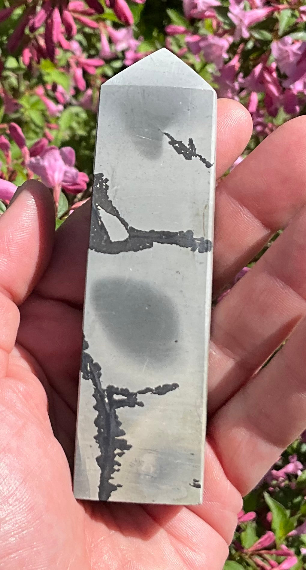Picture Jasper Towers