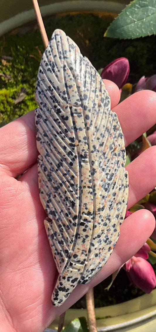 Dalmatian Jasper Feather Carving