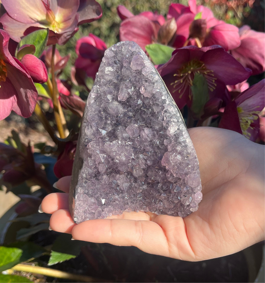 Amethyst Clusters