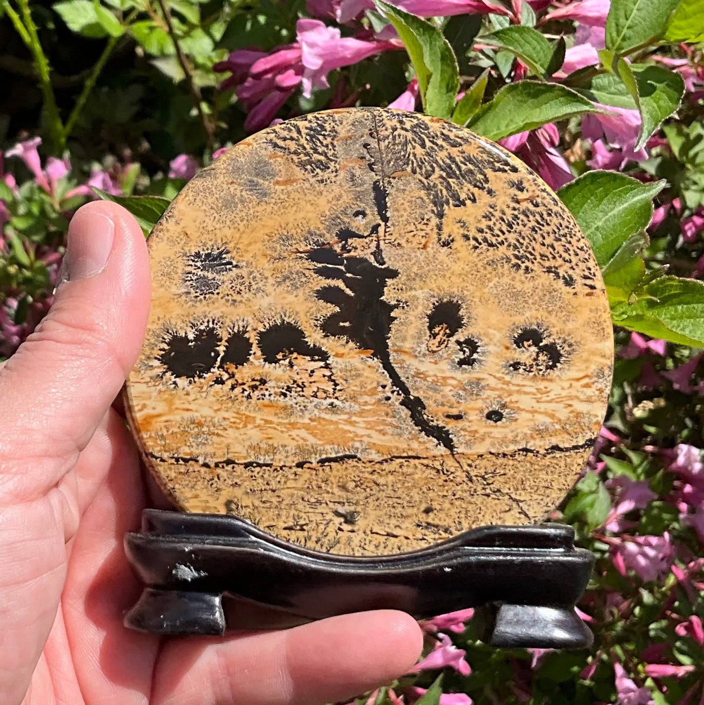 Picture Jasper Round Slabs (on wooden stands)