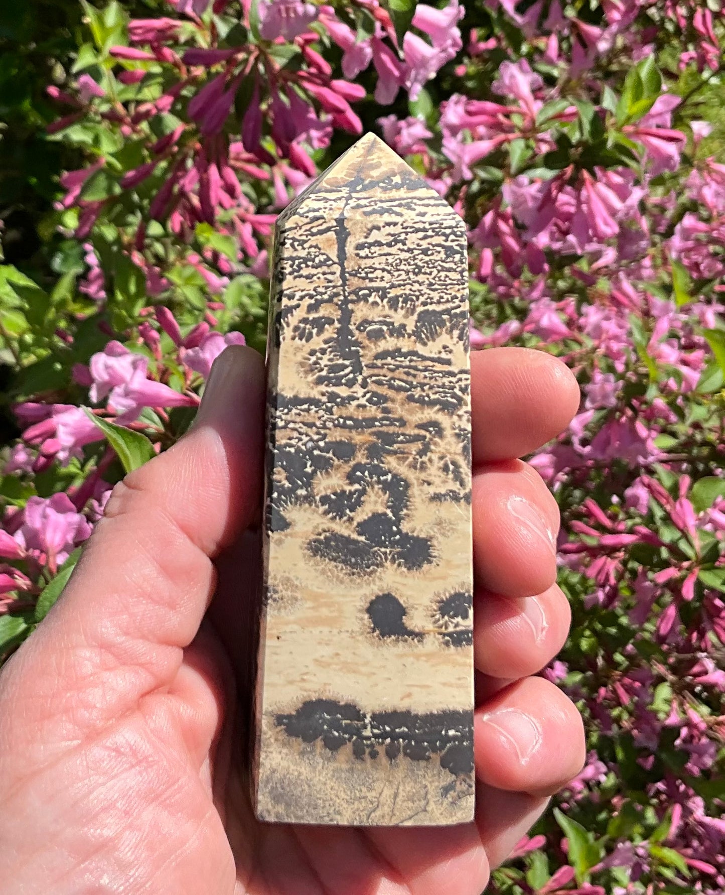 Picture Jasper Towers