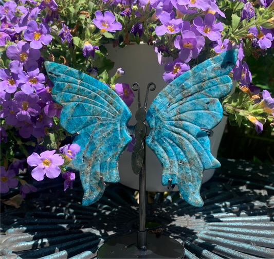 Blue Apatite Butterfly Wings with Stand