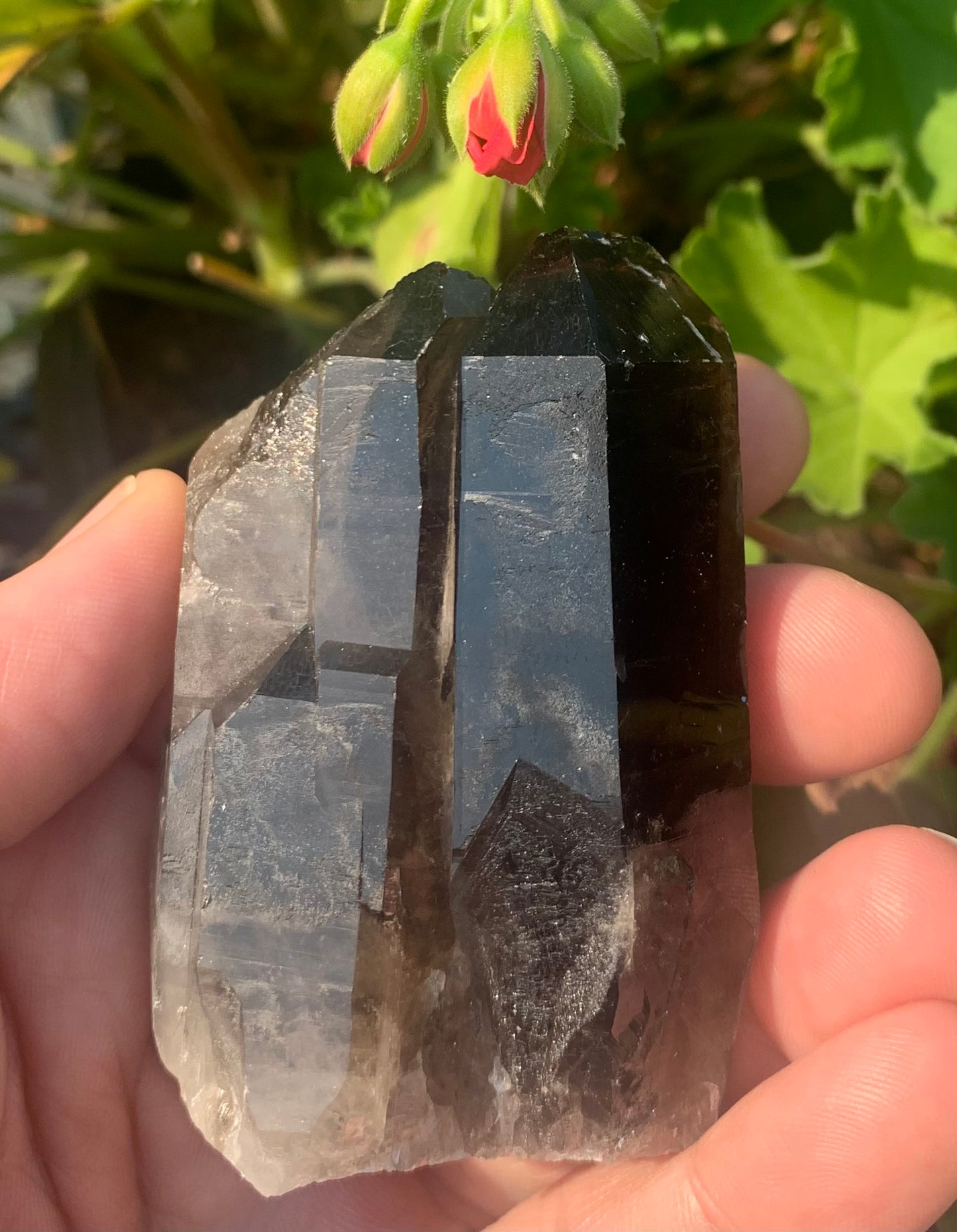 Smoky Quartz Crystal