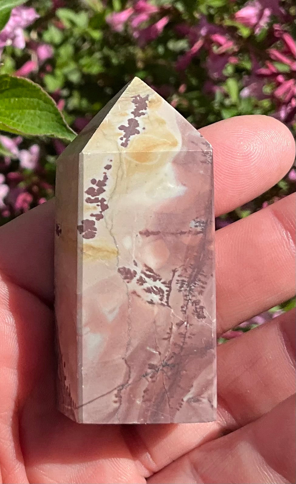 Picture Jasper Towers