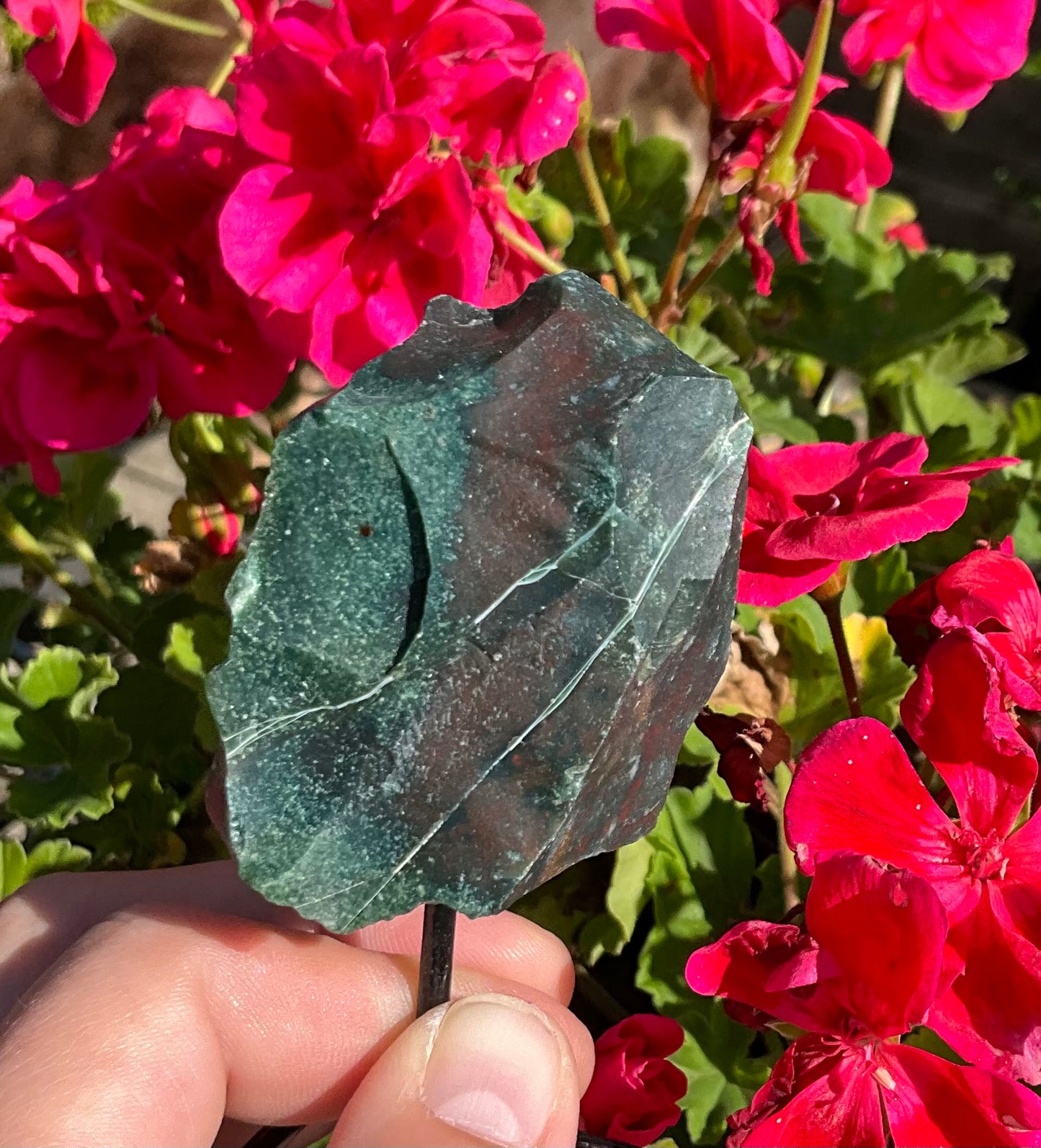 Raw Bloodstone Specimen on Stand