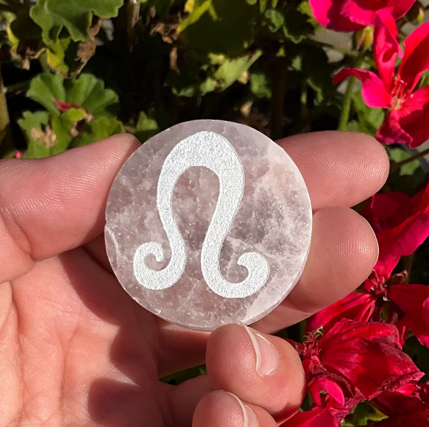 Selenite Zodiac Discs
