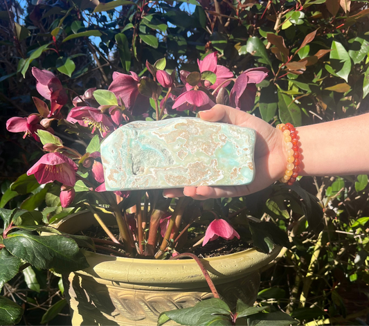 Caribbean Calcite Freeform