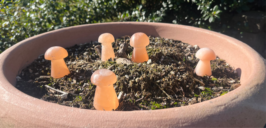 Peach Selenite (Satin Spar) Crystal Mushroom Carvings