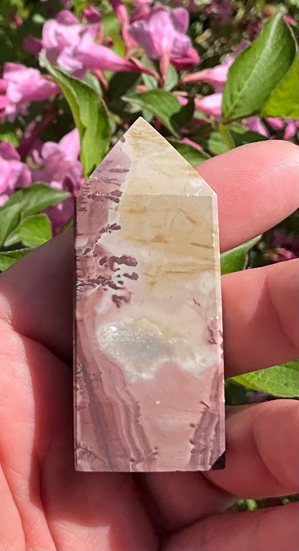 Picture Jasper Towers