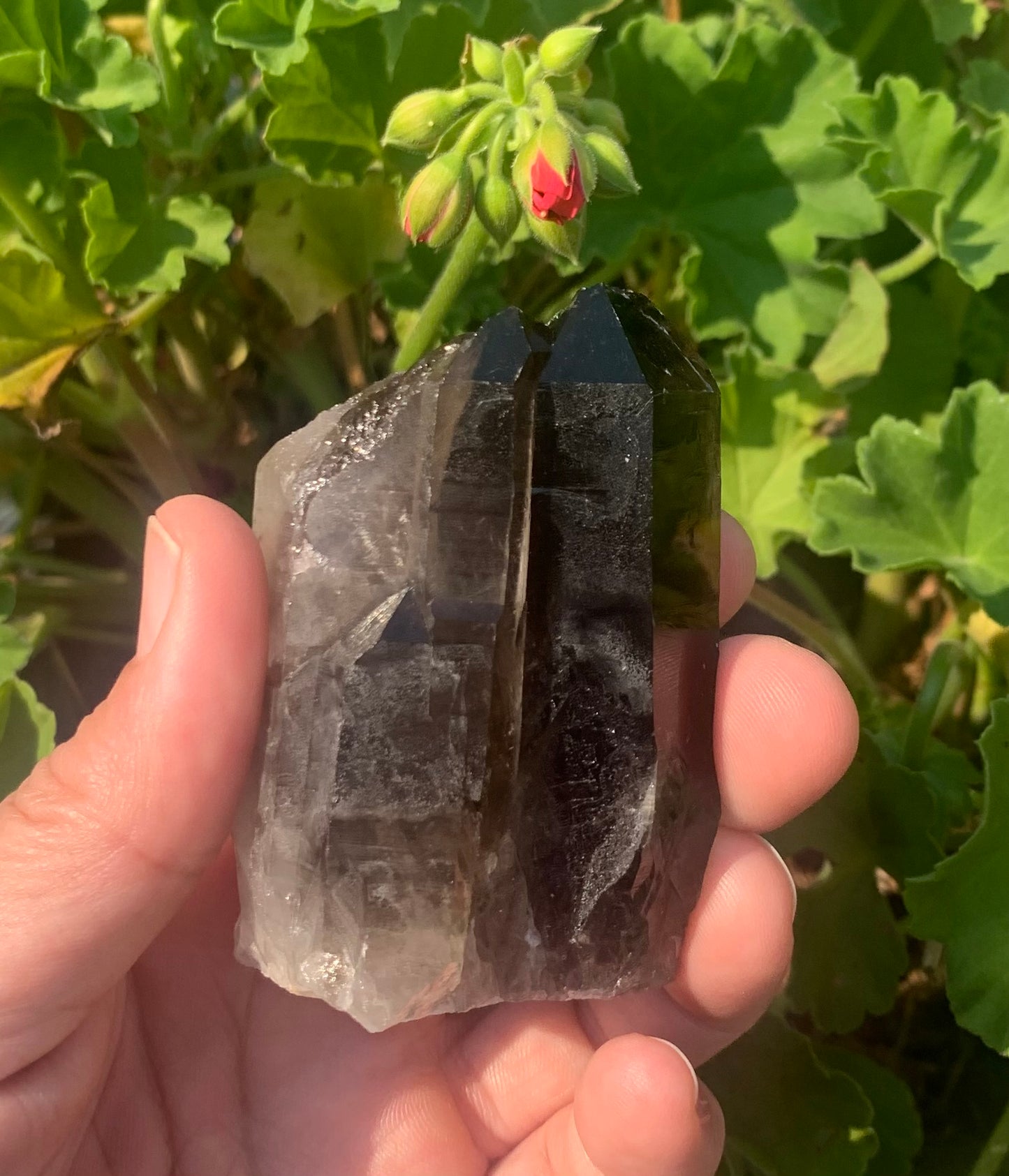 Smoky Quartz Crystal